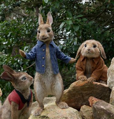 Peter Rabbit | Sony Pictures Ireland